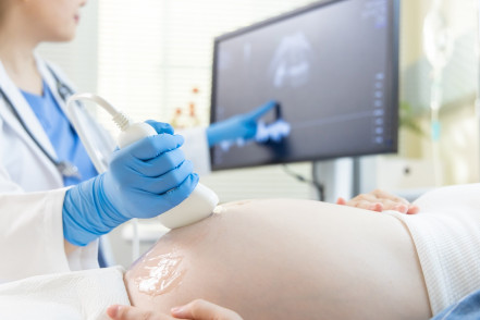Thumbnail of Early Detection of Fetal Chromosomal Abnormalities: Early Pregnancy Screening