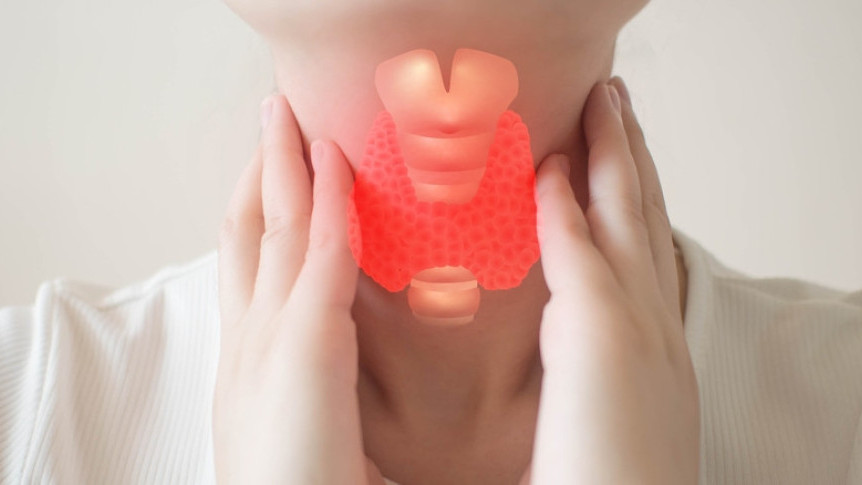 缩图 - 甲亢甲减与甲状腺癌有关吗？恒常颈部超声波检查及早诊断成治疗关键