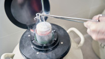 Thumbnail of Egg freezing: An option for extending fertility?