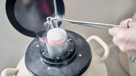 Thumbnail of Egg freezing: An option for extending fertility?