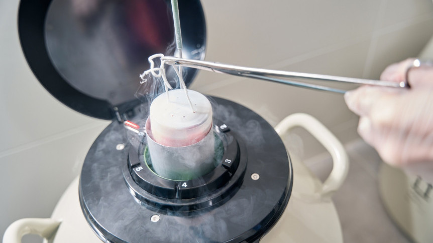 Thumbnail of Egg freezing: An option for extending fertility?