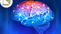Thumbnail of Transcranial Magnetic Stimulation in stroke rehabilitation