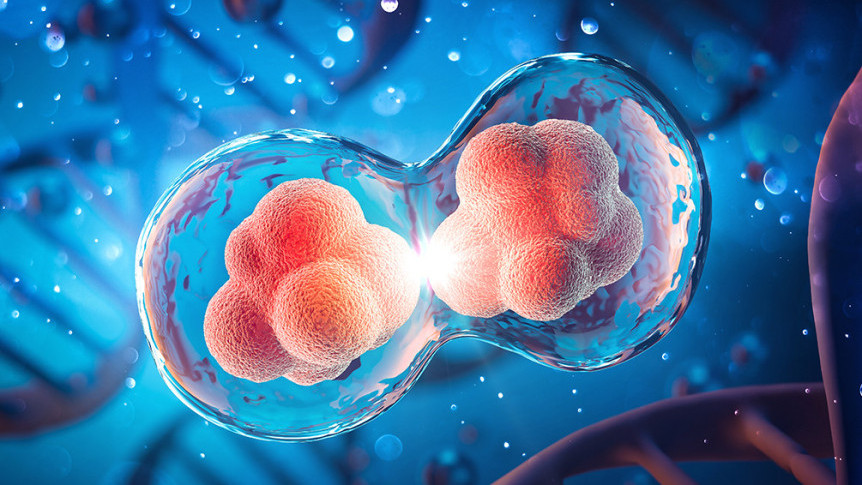 Thumbnail of What is Cellular Therapy?