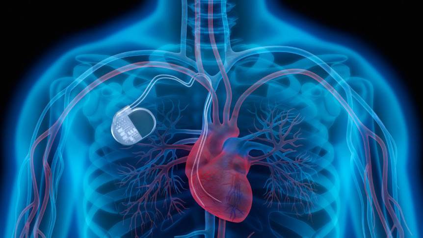 Thumbnail of Wholeheartedly in Saving the Pulse that Dominates Life