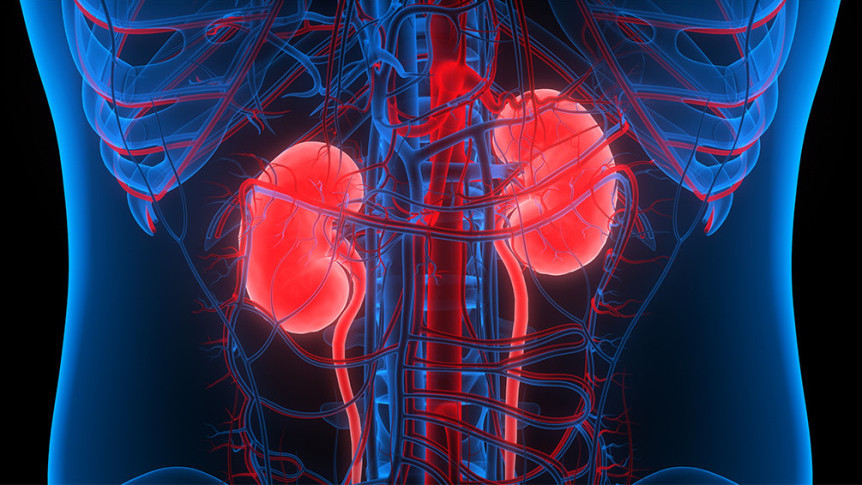Thumbnail of Complications of Hypertension - Stroke? heart disease? Ablation of Renal Artery Sympathetic Nerve Minimally Invasive Surgery for Treating Stubborn Hypertension