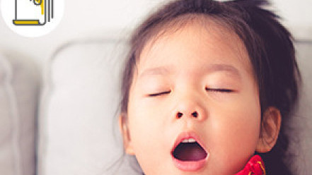 Thumbnail of Mouth Breathing, Snoring and Childhood Obstructive Sleep Apnea Syndrome (OSAS)