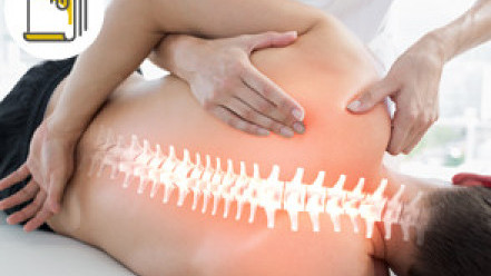 Thumbnail of Symptoms and Treatment of Spondyloarthropathy