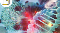 Thumbnail of Personalised Treatment for Blood Cancers