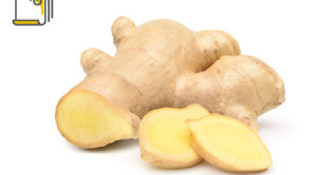 Thumbnail of The Nutritional Value of Gingers