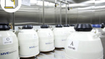 Thumbnail of Fertility Preservation with the Advanced Egg Freezing Technology