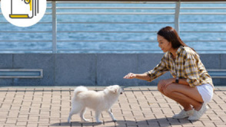 Thumbnail of Pet Ownership and Cardiac Health