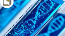 Thumbnail of [Video] Comprehensive Oncology Treatment