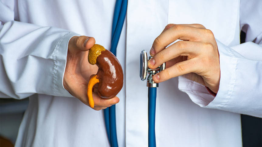 Thumbnail of Kidney Stones: Causes and Prevention Tips