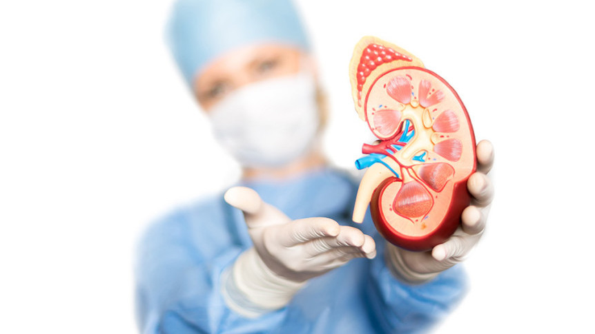 Thumbnail of Polycystic Kidney Disease: Causes, Staging and Treatment