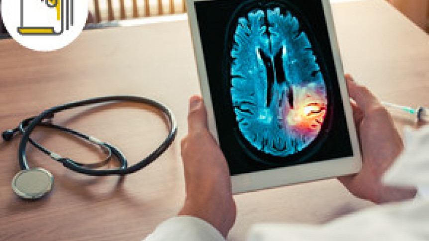 Thumbnail of Stroke: Risk Factors, Warning Signs and Prevention