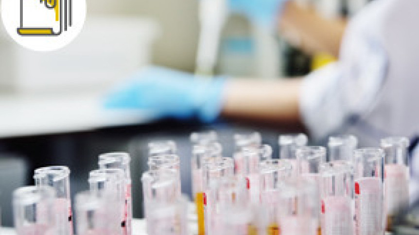 Thumbnail of Common Cancers in Hong Kong and Related Screenings