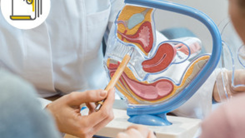Thumbnail of Artificial Methods Help Pregnancy - IVF Service