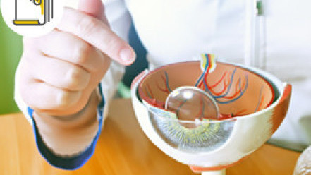 Thumbnail of Minimally Invasive Surgery to Solve Lacrimal Duct Occlusion