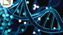 Thumbnail of Clinical Genetics Service