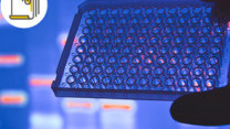 Thumbnail of To Test or Not To Test: Genetic Screening