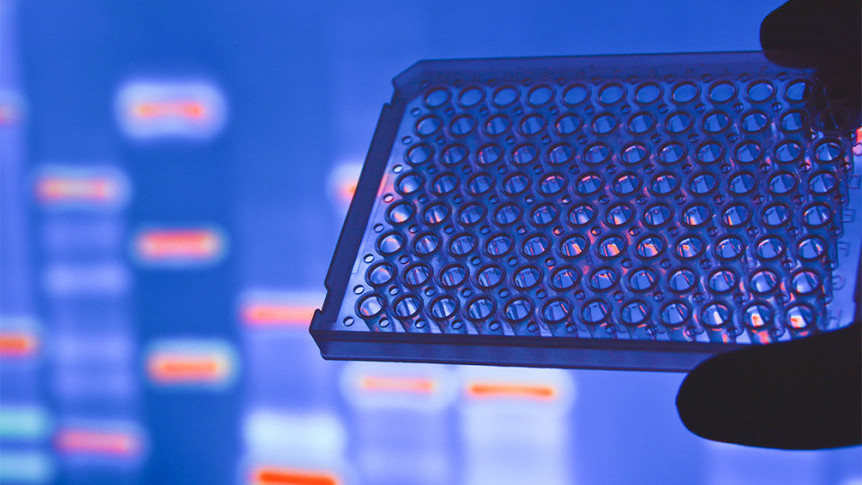 Thumbnail of To Test or Not To Test: Genetic Screening