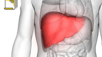 Thumbnail of Treatment of Liver Cancer
