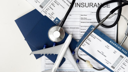 Thumbnail of Essential Travel Tips: Prevent Mosquito-Borne Diseases, Watch for Symptoms, and Get Medication Safely Abroad
