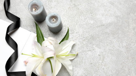 Thumbnail of Bereavement: Healing Begins With Permission to Grieve and Express Loss