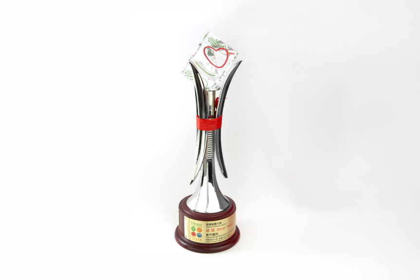 Thumbnail of OSH Council 2017Gold Award in The HKFI Award for Excellence in Occupational RehabilitationSafety Promotion – Silver Award&nbsp;&nbsp;