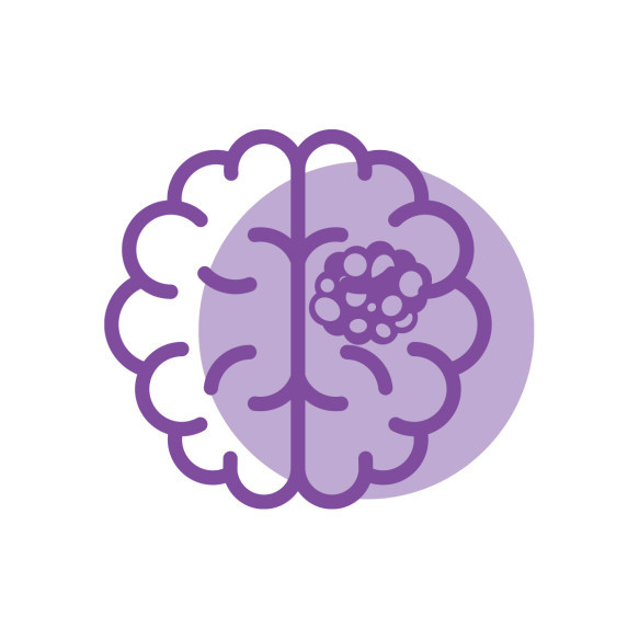 Brain and Spine