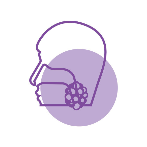 Head and Neck