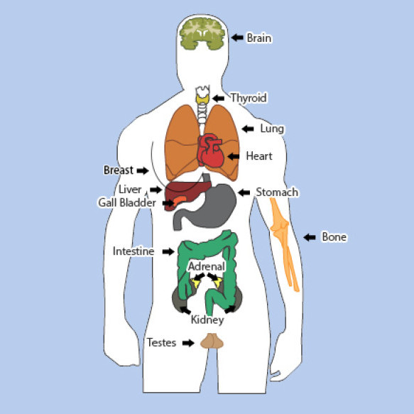 Nuclear Medicine