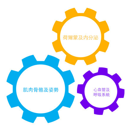 縮圖 - 懷孕期間的變化