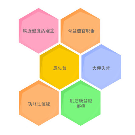 缩图 - 骨盆底功能障碍，包括:&nbsp;