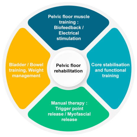 Thumbnail of Physiotherapy for Pelvic Floor Dysfunction