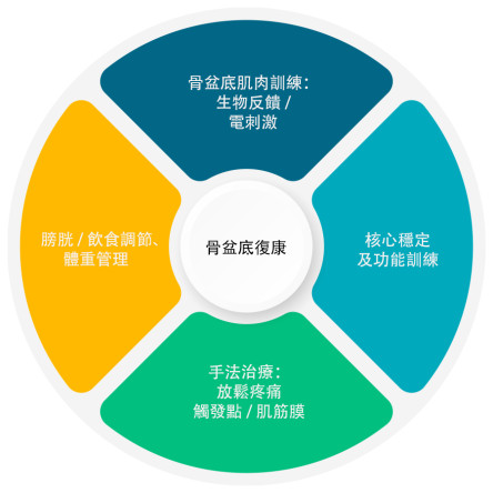 缩图 - 骨盆底功能障碍的物理治疗