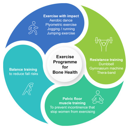 Thumbnail of Exercise Programme for Bone Health