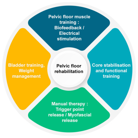 Thumbnail of Physiotherapy for Pelvic Floor Dysfunction 