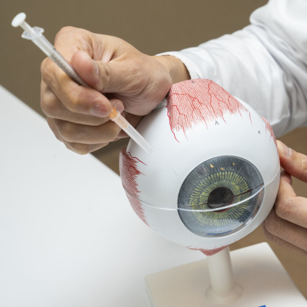 Thumbnail of Research