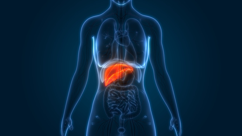 Thumbnail of Liver Cancer