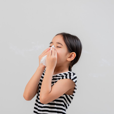 Thumbnail of Inhalant Allergy