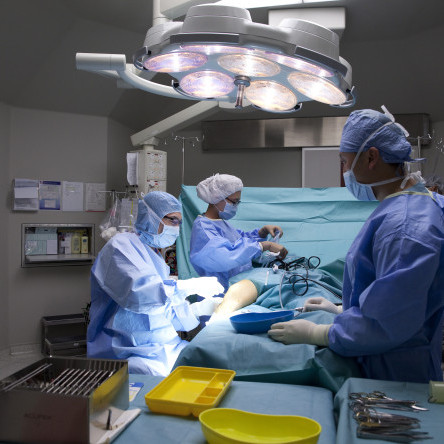 Thumbnail of Knee Surgery