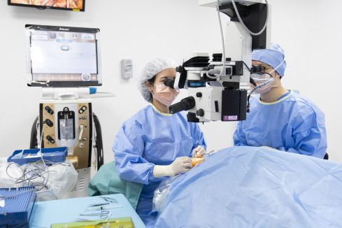 Thumbnail of Treatment of Retinal Detachment