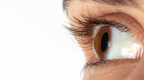 Thumbnail of Treatment of Keratoconus