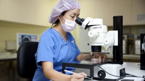 Thumbnail of Oocyte (Egg) Cryopreservation for fertility preservation