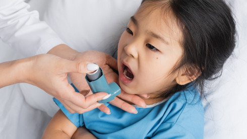 Thumbnail of Paediatric Respiratory Medicine