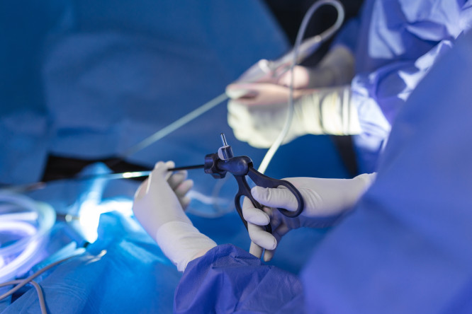 Thumbnail of Minimally Invasive And Endoscopic Services