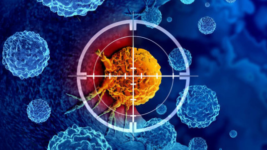 Thumbnail of What’s Cancer?