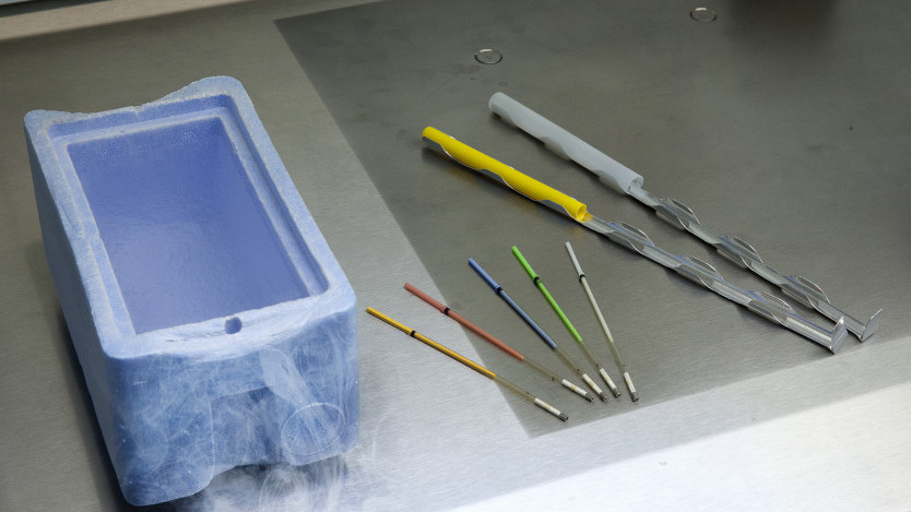 Thumbnail of Ultrarapid Vitrification