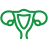 Icon of Uterus